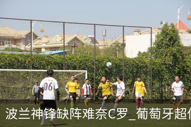 波兰神锋缺阵难奈C罗 葡萄牙超低赔欲迎大胜